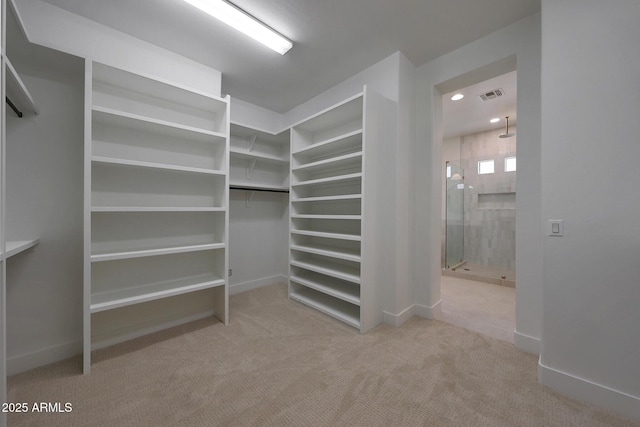 2859 E Los Altos Rd, Gilbert, AZ 85297 - spacious closet featuring carpet flooring