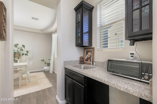 kitchen with sink and wood-type flooring