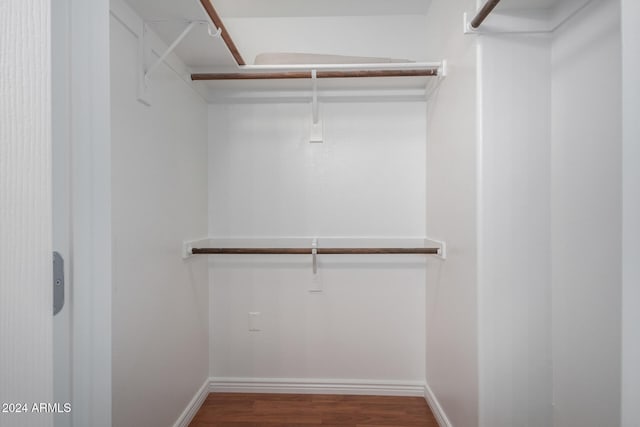 walk in closet with wood-type flooring