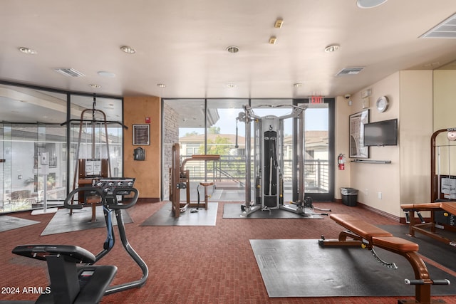 workout area with carpet and a healthy amount of sunlight