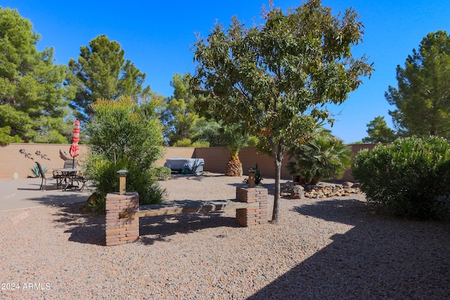 view of yard featuring a patio area