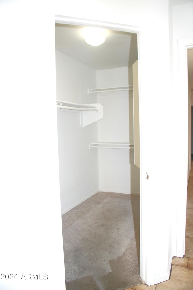 spacious closet with light carpet