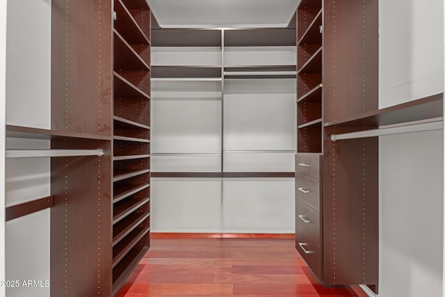 walk in closet featuring hardwood / wood-style flooring