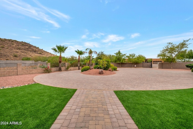 view of yard featuring a patio area