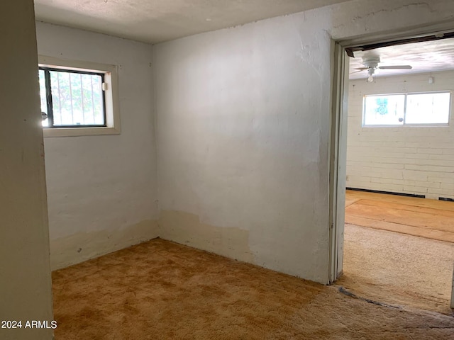 spare room featuring ceiling fan and carpet floors