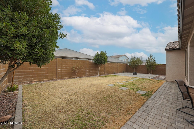 view of yard with a patio area and a fenced backyard