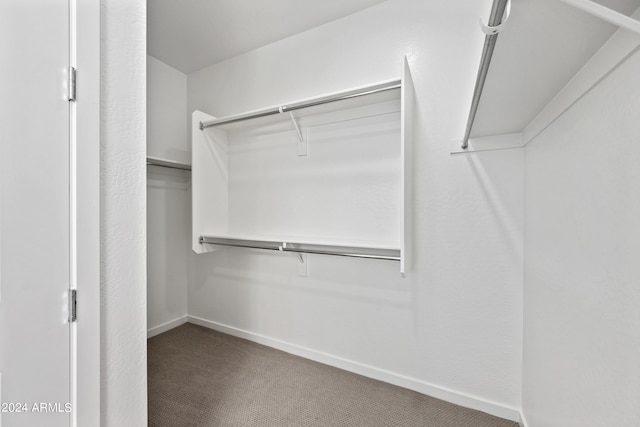 walk in closet with carpet