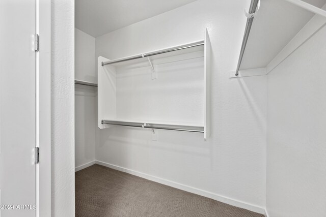 spacious closet with carpet flooring