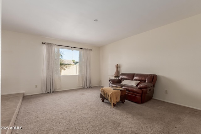 sitting room featuring carpet flooring