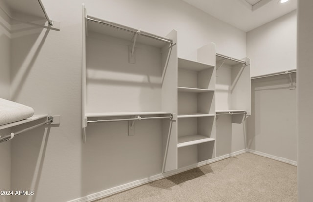 spacious closet with light carpet