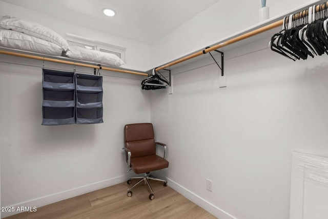 spacious closet featuring wood-type flooring