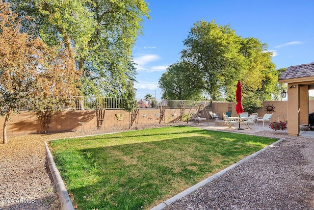 view of yard featuring a patio