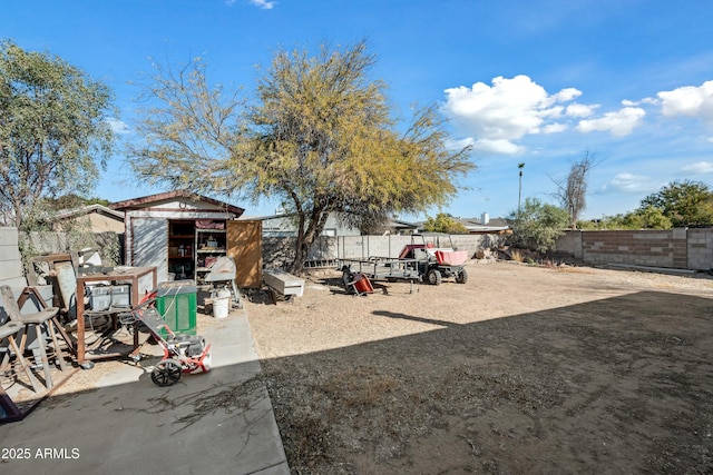 view of yard with a storage unit