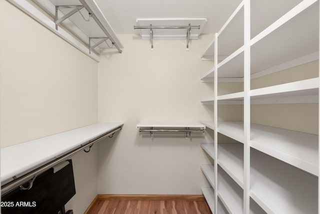 spacious closet featuring light wood finished floors