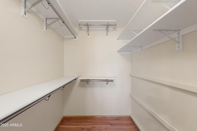 walk in closet featuring wood finished floors