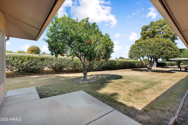 view of yard with a patio area