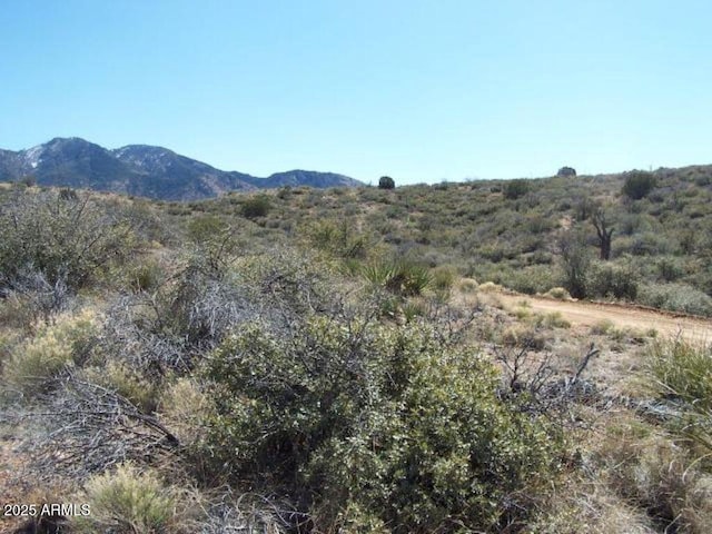 Listing photo 3 for 36.58AC W Four Feathers Loop Unit 69, Willcox AZ 85643