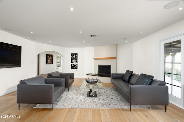 living room with plenty of natural light, a large fireplace, and light hardwood / wood-style floors