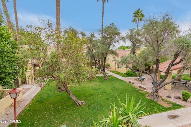 view of community featuring a lawn