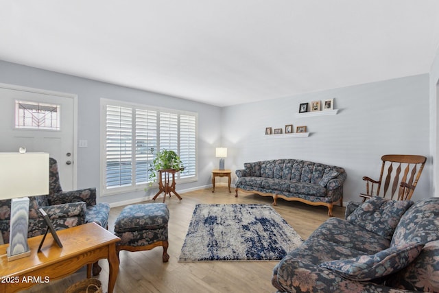 living room featuring light hardwood / wood-style flooring