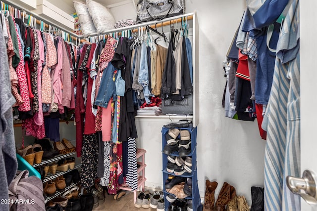 view of spacious closet