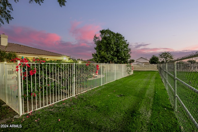 view of yard at dusk