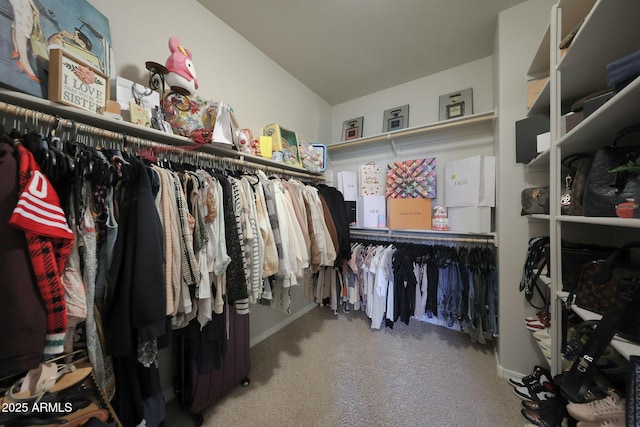 spacious closet with carpet floors