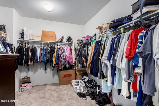 spacious closet with light colored carpet