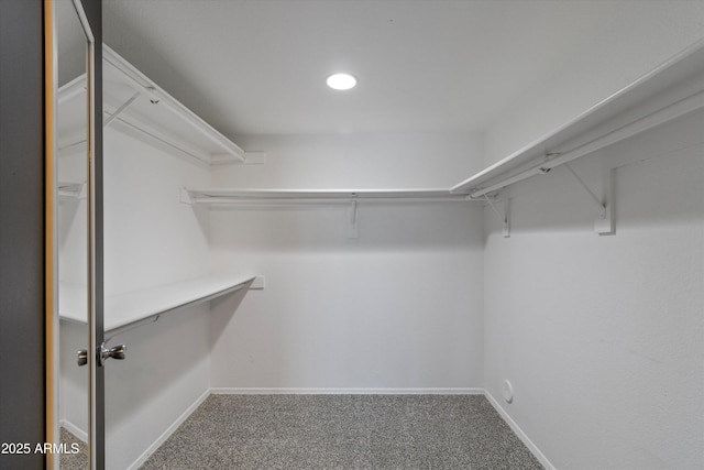 spacious closet featuring carpet