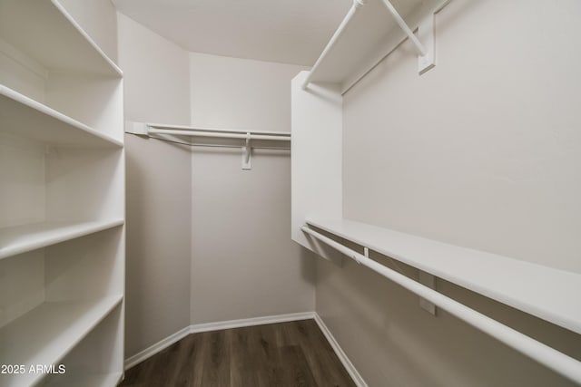 spacious closet with dark wood-style flooring