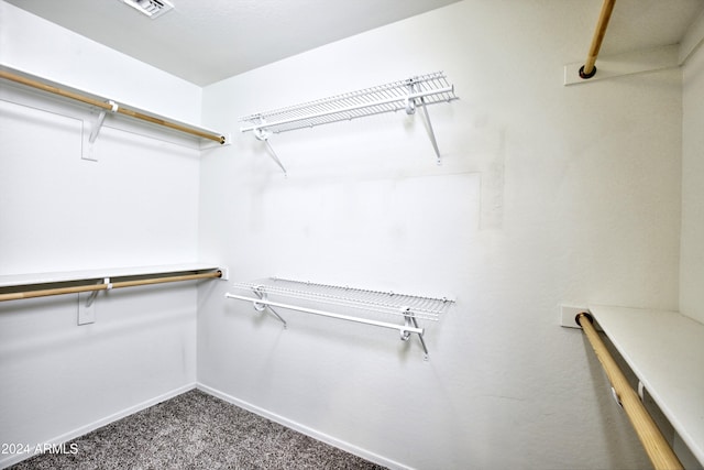 walk in closet with carpet flooring