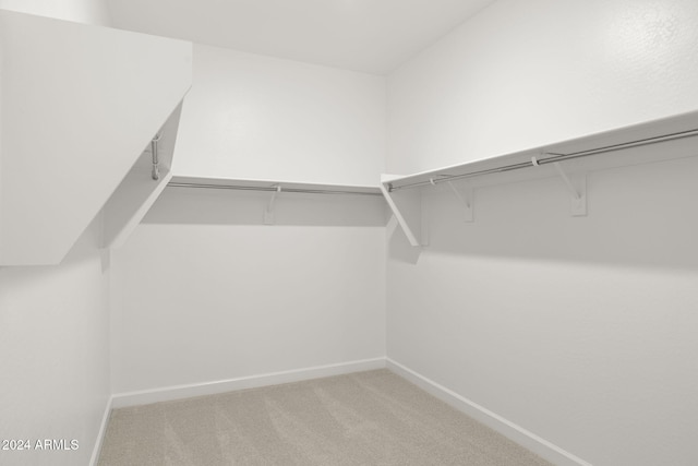 spacious closet featuring light colored carpet