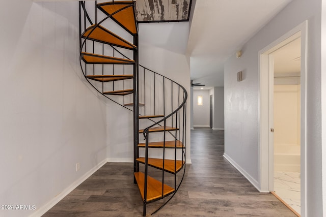 stairway featuring ceiling fan and hardwood / wood-style flooring