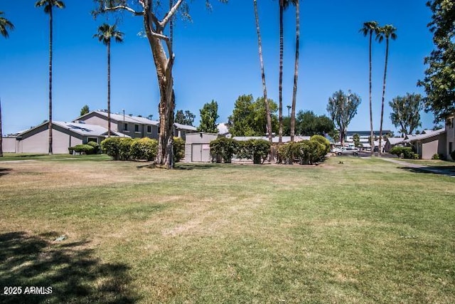 2645 W Elm St, Phoenix, AZ 85017 - view of grassy yard
