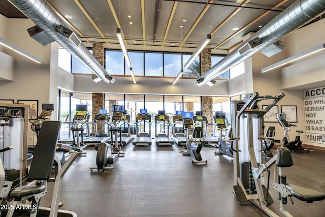 exercise room featuring a towering ceiling