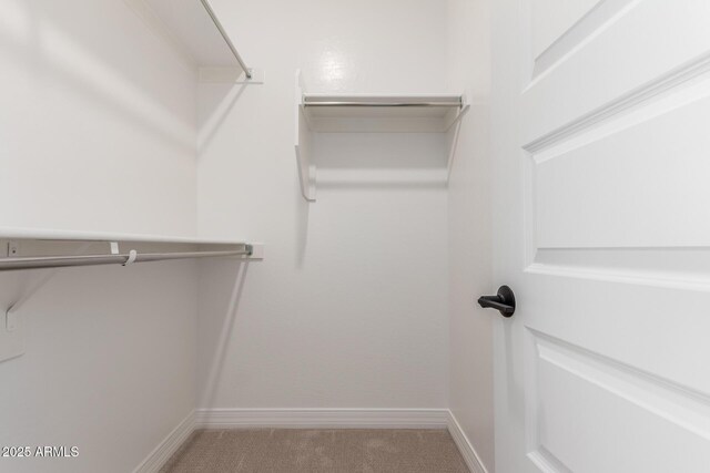 walk in closet with carpet