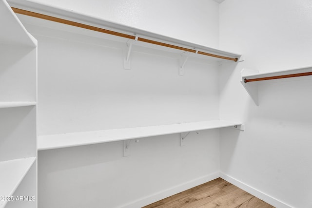10809 W Harmony Ln, Peoria, AZ 85373 - walk in closet with light wood-style floors