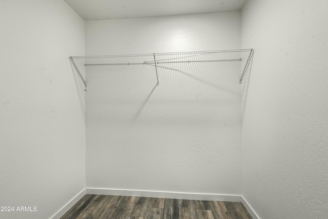 spacious closet featuring dark wood-type flooring