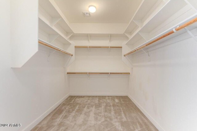 spacious closet with light carpet