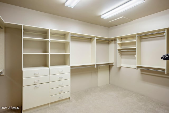 walk in closet with light carpet