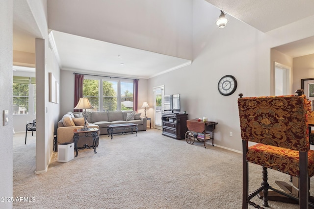 20100 N 78th Pl Unit 2193, Scottsdale, AZ 85255 - living area with carpet flooring and crown molding