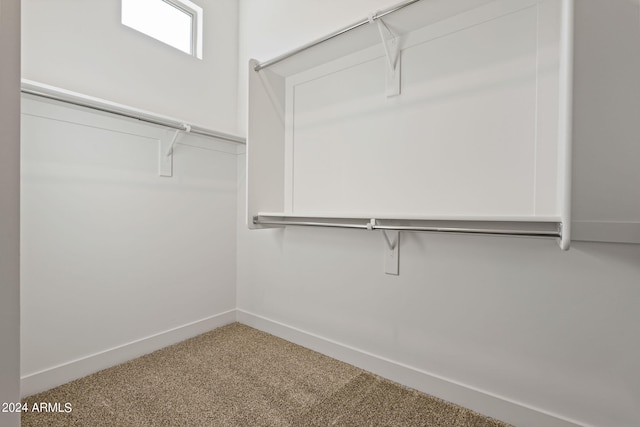 spacious closet featuring carpet