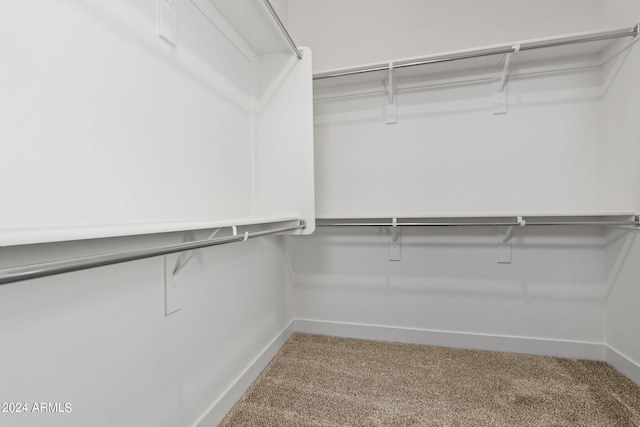 walk in closet featuring carpet flooring