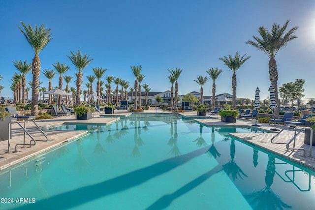 view of swimming pool with a patio area