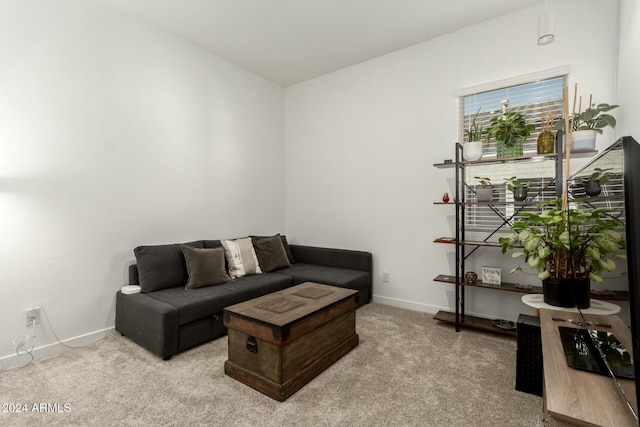 living room with light colored carpet