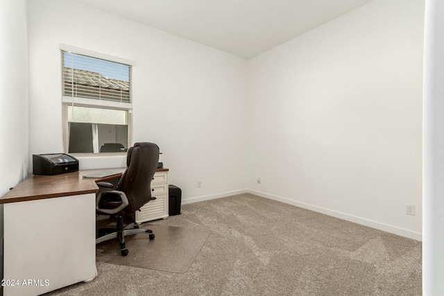 office featuring carpet