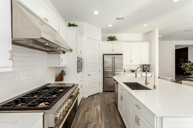 kitchen with appliances with stainless steel finishes, ventilation hood, sink, a center island with sink, and white cabinetry