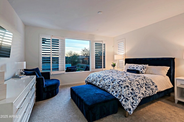 view of carpeted bedroom