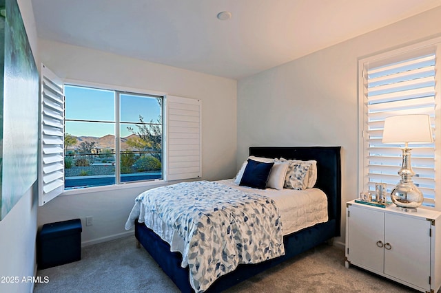 bedroom featuring carpet floors