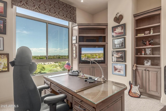 office area featuring carpet floors and baseboards